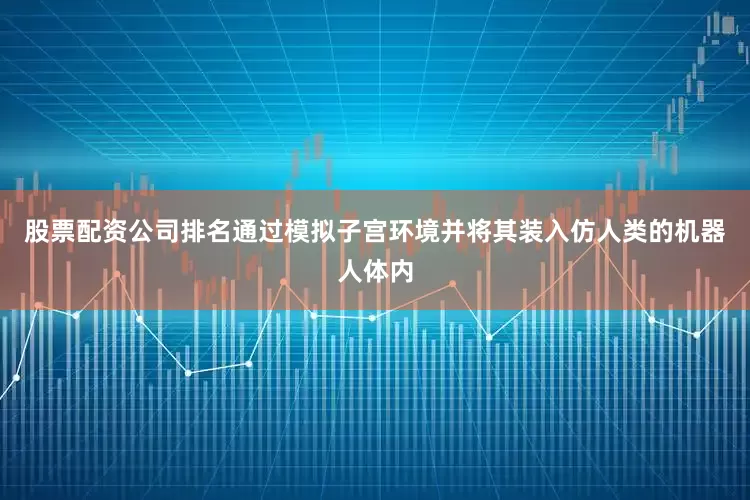 股票配资公司排名通过模拟子宫环境并将其装入仿人类的机器人体内