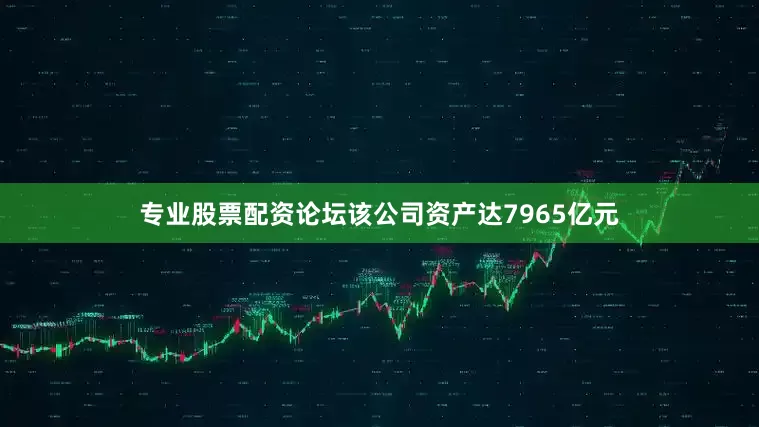 专业股票配资论坛该公司资产达7965亿元